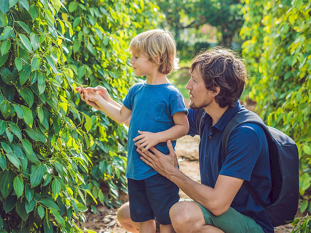 Opt for light, breathable clothes and bring a hat and sunscreen, since most of the activities are outdoors 